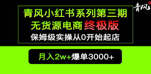 小红书无货源电商爆单终极版【视频教程+实战手册】保姆级实操从0起店爆单