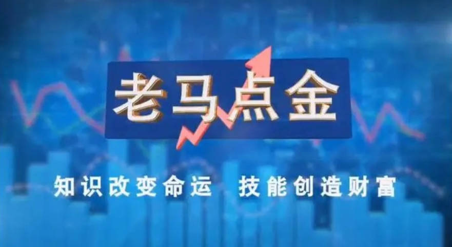 老马点金职业操盘手的看盘与复盘技巧