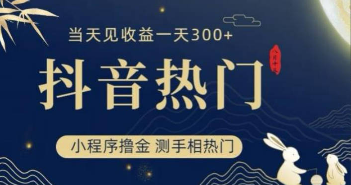 抖音最新小程序撸金，测手相上热门，当天见收益一小时变现300+【揭秘】