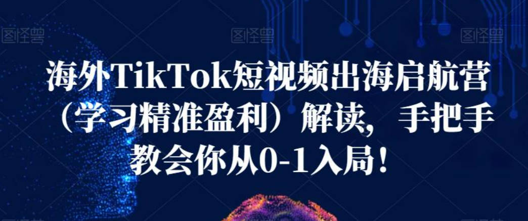 海外TikTok短视频出海启航营（学习精准盈利）解读，手把手教会你从0-1入局！