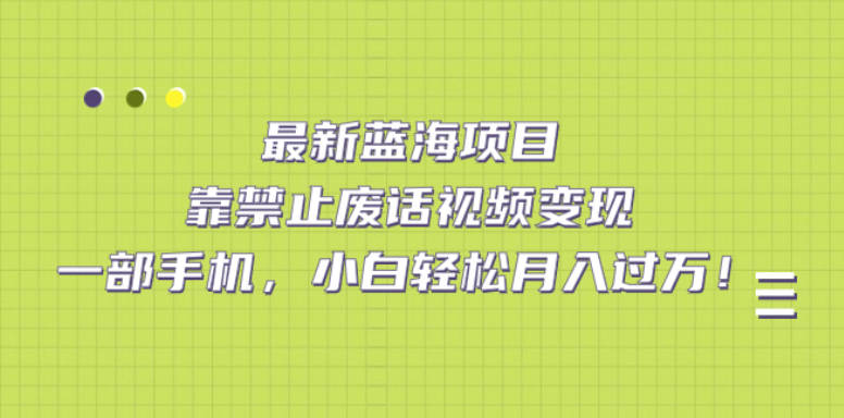 最新蓝海项目，靠禁止废话视频变现，一部手机，小白轻松月入过万！