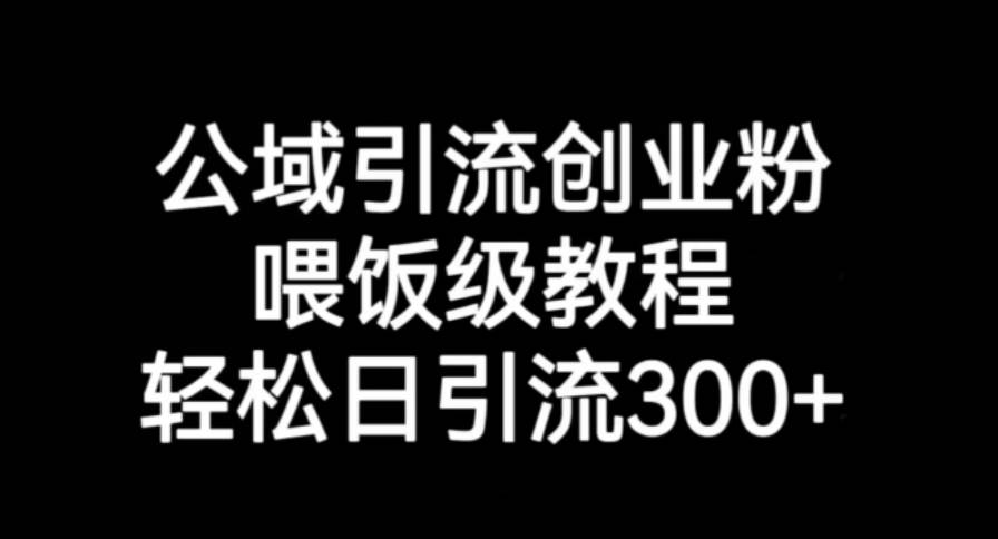 公域引流创业粉，喂饭级教程，轻松日引流300+