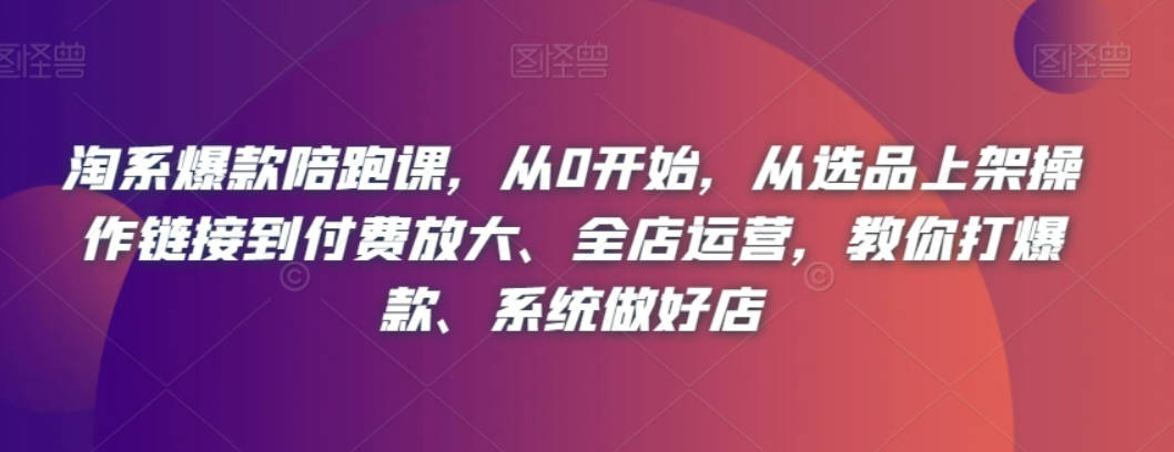 淘系爆款陪跑课，从0开始，从选品上架操作链接到付费放大、全店运营，教你打爆款、系统做好店