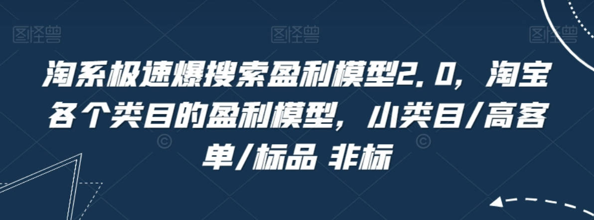 淘系极速爆搜索盈利模型2.0，淘宝各个类目的盈利模型，小类目/高客单/标品 非标