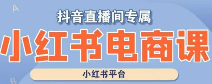 小红书电商高级运营课程，实操教学+案例分析