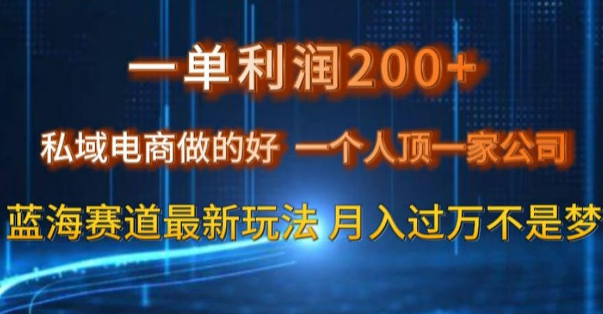 一单利润200私域电商做的好，一个人顶一家公司蓝海赛道最新玩法【揭秘】