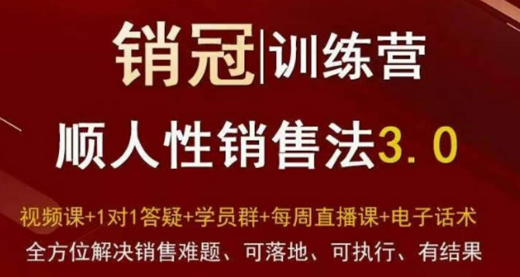 爆款！销冠训练营3.0之顺人性销售法，全方位解决销售难题、可落地、可执行、有结果