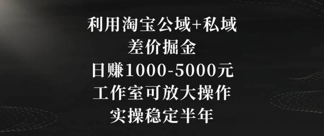 利用淘宝公域+私域差价掘金，日赚1000-5000元，工作室可放大操作，实操稳定半年【揭秘】