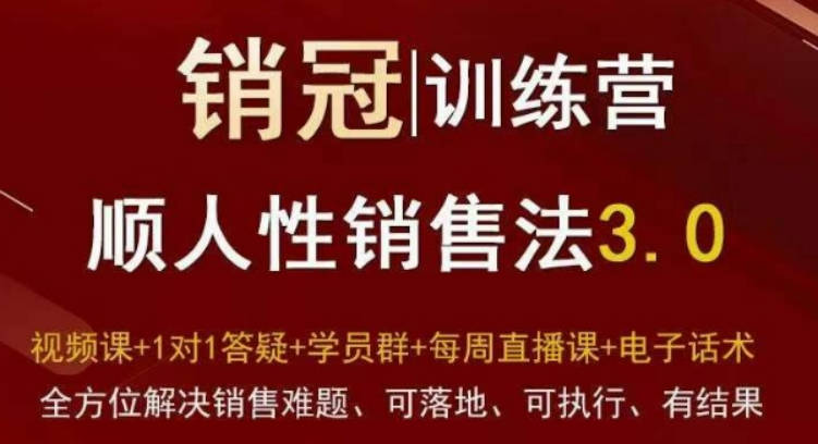 爆款！销冠训练营3.0之顺人性销售法，全方位解决销售难题、可落地、可执行、有结果