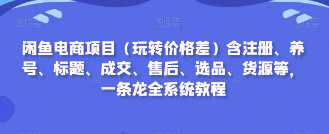 闲鱼电商项目（玩转价格差）含注册、养号、标题、成交、售后、选品、货源等，一条龙全系统教程