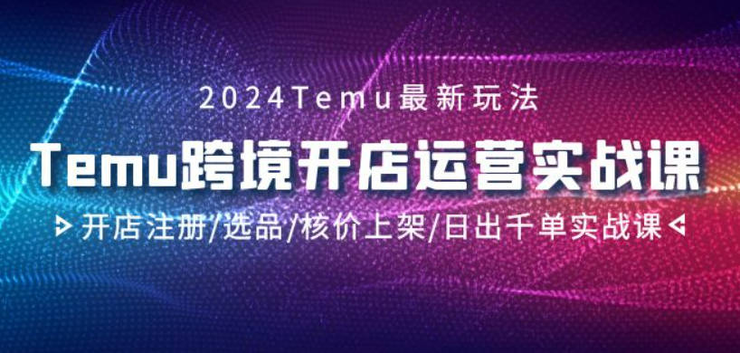 2024Temu最新玩法，Temu跨境开店运营实操课，开店注册/选品/核价上架/日出千单实战课