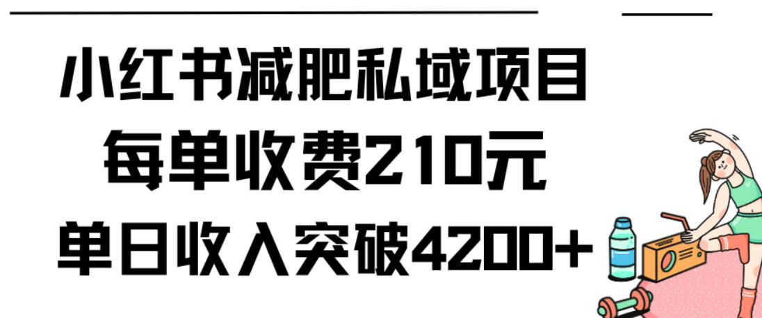 小红书减肥私域项目每单收费210元单日成交20单，最高日入4200+