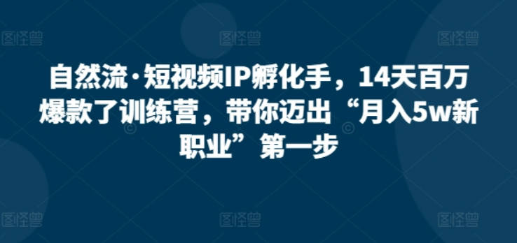 自然流·短视频IP孵化手，14天百万爆款了训练营，带你迈出“月入5w新职业”第一步