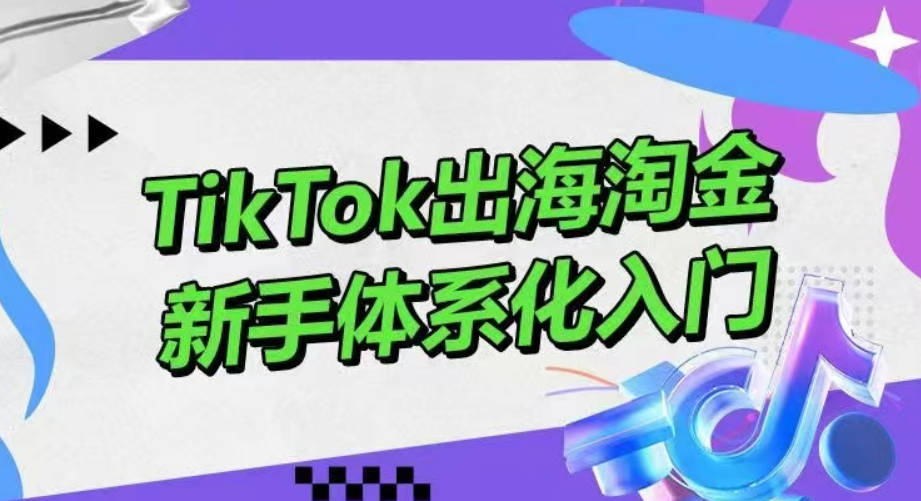 大彬TikTok出海淘金，新手体系化入门，零基础快速入门，掌握短视频、直播带货等引流到变现的知识