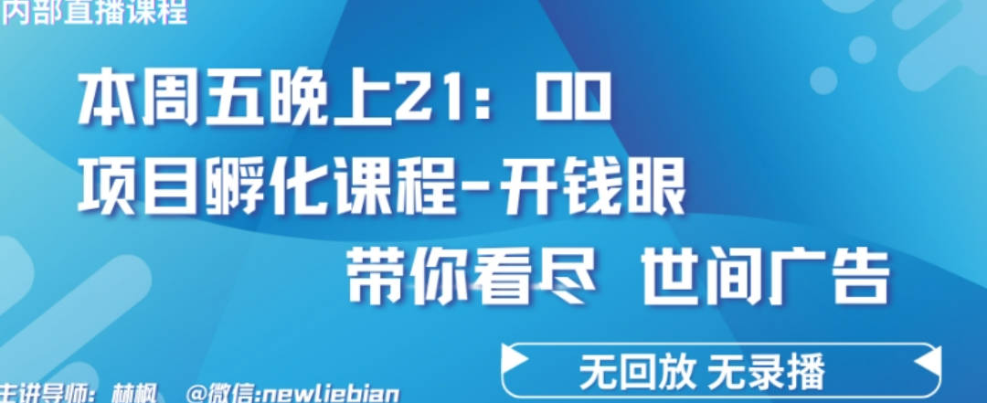 林枫4.26日内部直播课程《项目孵化-开钱眼》赚钱的底层逻辑【揭秘】