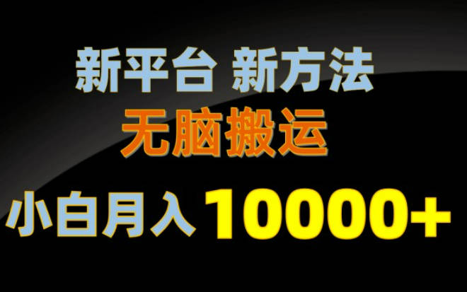 新平台新方法，无脑搬运，月赚10000+，小白轻松上手不动脑