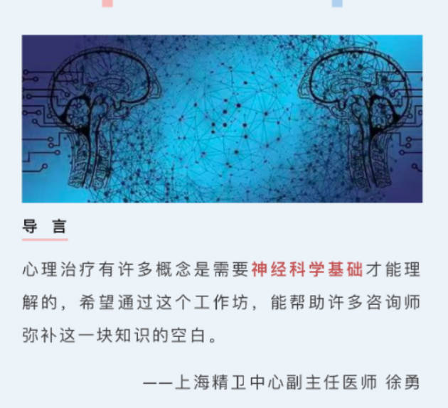 徐勇：神经科学视角下的心理治疗