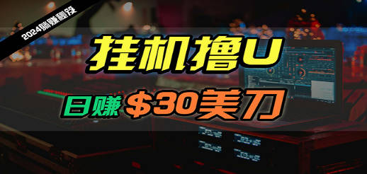 日赚30美刀，2024最新海外挂机撸U内部项目，全程无人值守，可批量放大