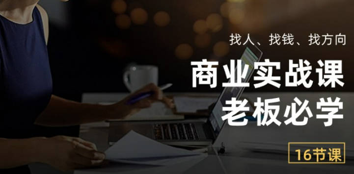 商业实战课【老板必学】：找人、找钱、找方向（16节课）