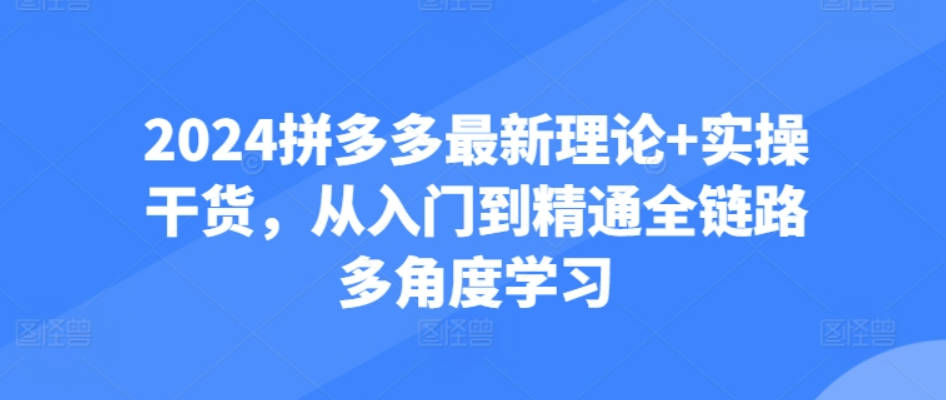 2024拼多多最新理论+实操干货，从入门到精通全链路多角度学习