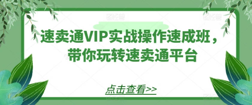 速卖通VIP实战操作速成班，带你玩转速卖通平台