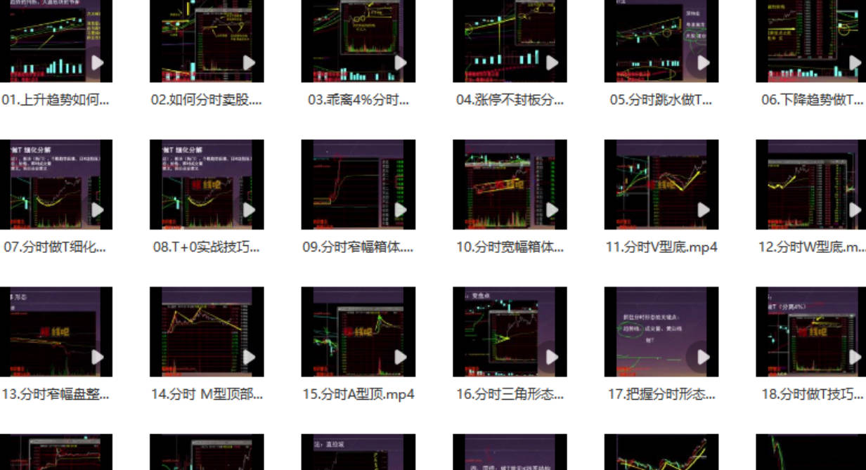 龟股堂《股票T+0实战秘籍》分时做T技巧 共32集