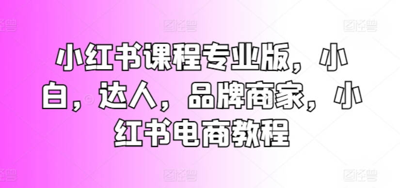 亿起电商小红书课程专业版，小白，达人，品牌商家，小红书电商教程