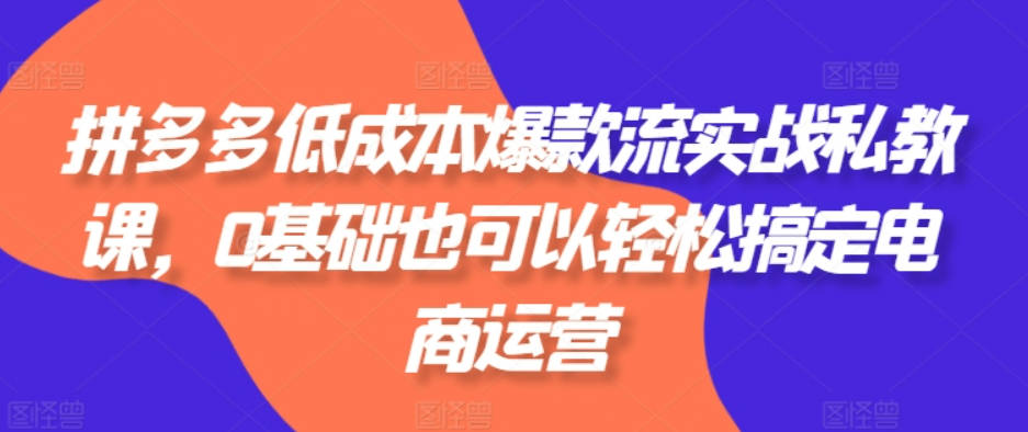 拼多多低成本爆款流实战私教课，0基础也可以轻松搞定电商运营