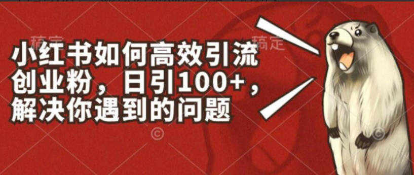 小红书如何高效引流创业粉，日引100+，解决你遇到的问题【揭秘】