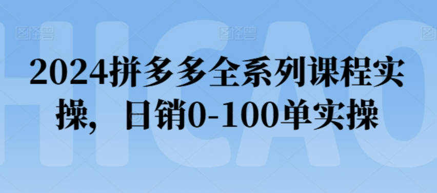 2024拼多多全系列课程实操，日销0-100单实操_恒哥