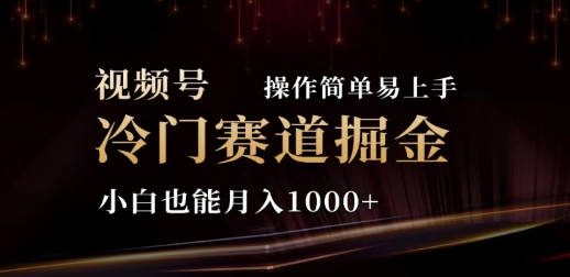 2024视频号冷门赛道掘金，操作简单轻松上手，小白也能月入1000+