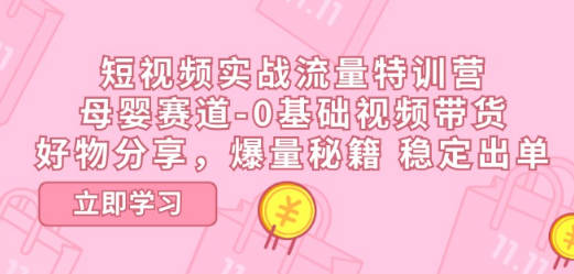 短视频实战流量特训营，母婴赛道-0基础带货，好物分享，爆量秘籍 稳定出单