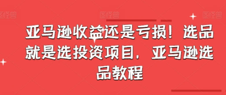 亚马逊收益还是亏损！选品就是选投资项目，亚马逊选品教程