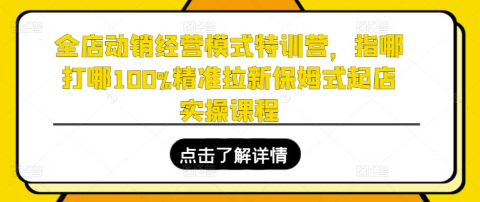 全店动销经营模式特训营，指哪打哪100%精准拉新保姆式起店实操课程