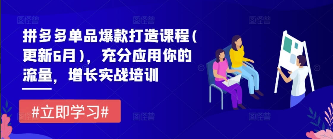 拼多多单品爆款打造课程(更新6月)，充分应用你的流量，增长实战培训