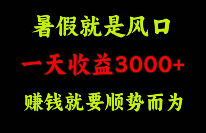 一天收益3000+ 赚钱就是顺势而为，暑假就是风口【项目拆解】