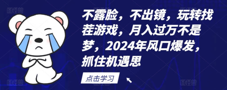 不露脸，不出镜，玩转找茬游戏，月入过万不是梦，2024年风口爆发，抓住机遇【项目揭秘】