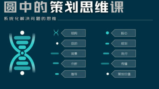 圆中的猫头鹰-圆中的策划思维课，系统化解决问题的思维