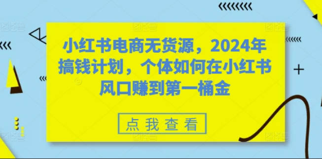 小红书电商无货源，2024年搞钱计划，个体如何在小红书风口赚到第一桶金