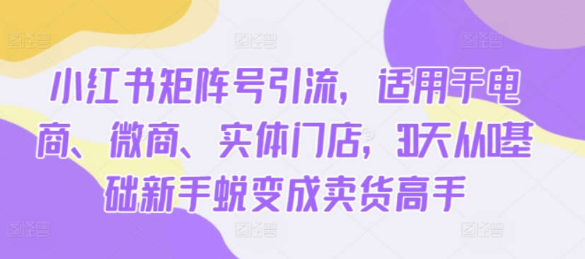 小红书矩阵号引流，适用于电商、微商、实体门店，30天从0基础新手蜕变成卖货高手