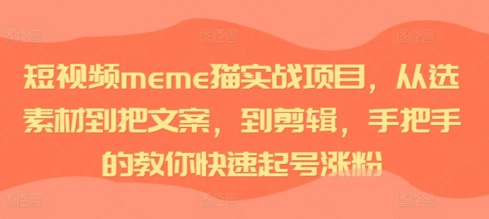短视频meme猫实战项目，从选素材到把文案，到剪辑，手把手的教你快速起号涨粉