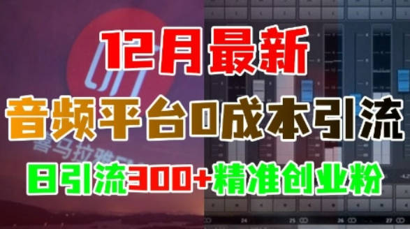 12月最新：音频平台0成本引流，日引流300+精准创业粉