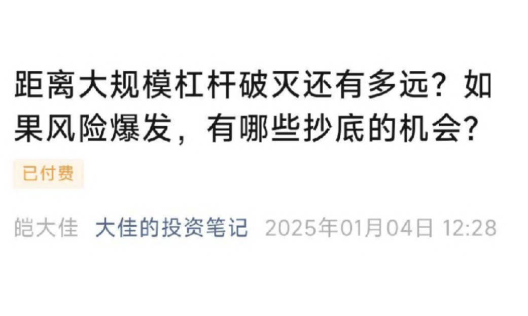 大佳的投资笔记20250104付费文-距离大规模杠杆破灭还有多远？如果风险爆发，有哪些抄底的机会？ 1PDF