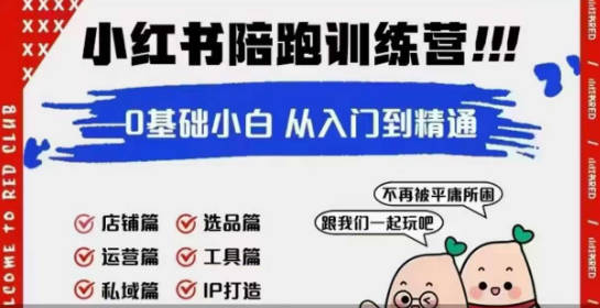 红薯主理人私教