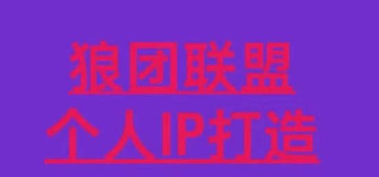 狼团联盟个人ip打造课