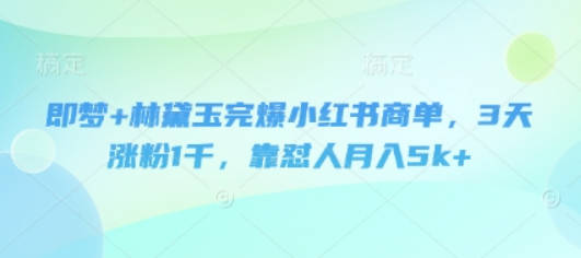 即梦+林黛玉完爆小红书商单，3天涨粉1千，靠怼人月入5k+【揭秘】