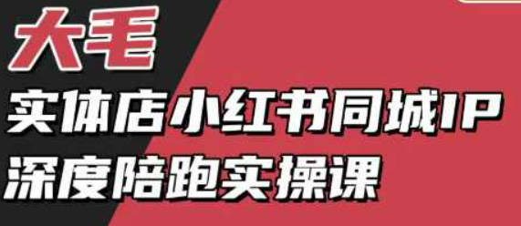 大毛-实体店小红书同城IP深度陪跑实操课，实体店小红书获客教程