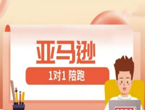 亚马逊1对1陪跑课(FBA/FBM精铺)跨境亚马逊教程