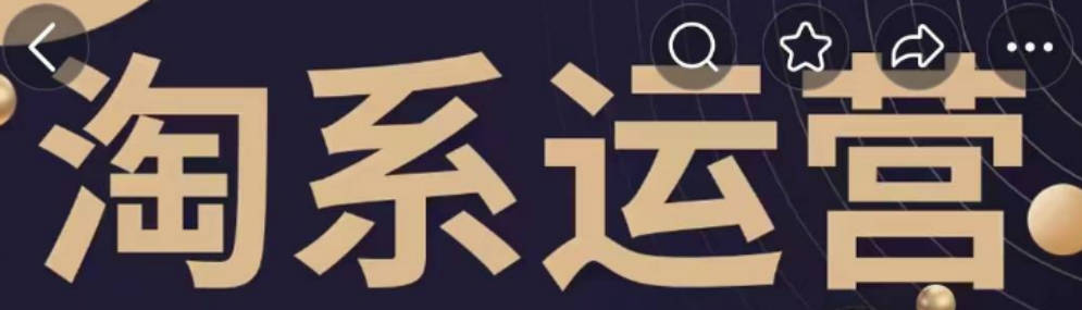 【石头老师】星雪电商私教班2025年淘系电商标准化起店流程私教班