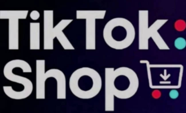 eric老师·TikTokShop跨境电商0-1实战，手把手教你低成本启动海外市场